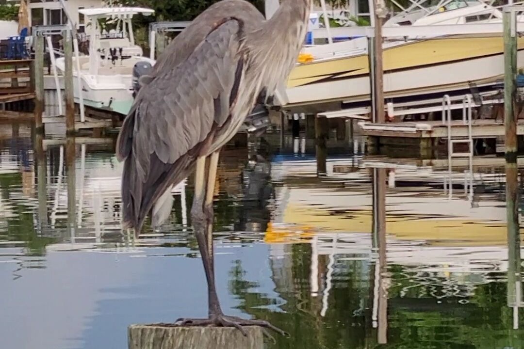Photo of Outdoor in Treasure Island