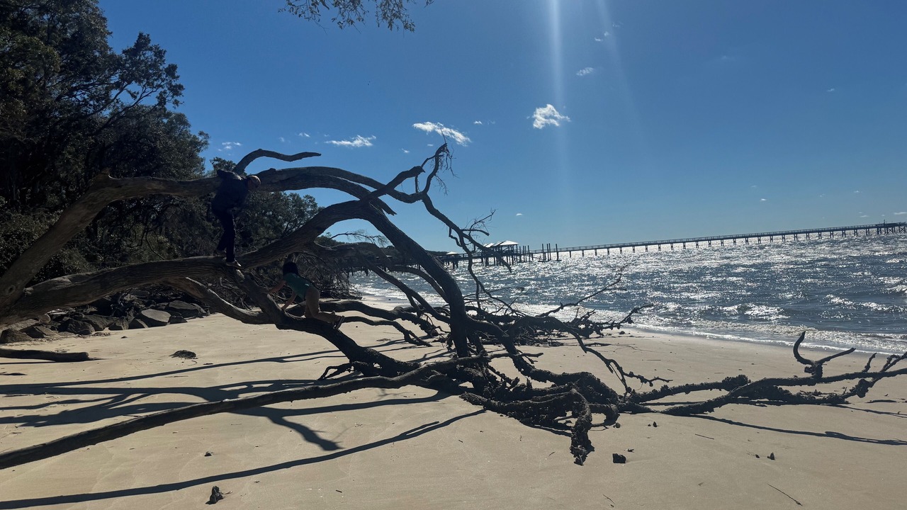 Photo of Others in Beaufort
