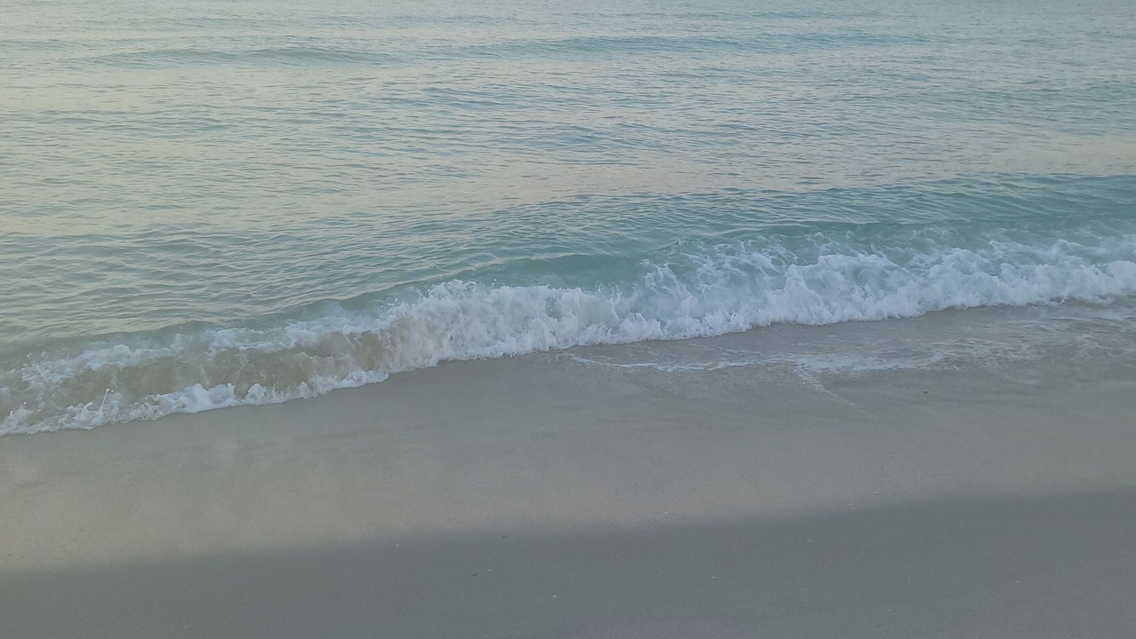 Photo of Others in Vero Beach