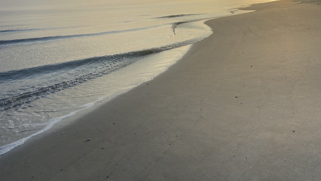 Photo of Others in Palmetto Dunes