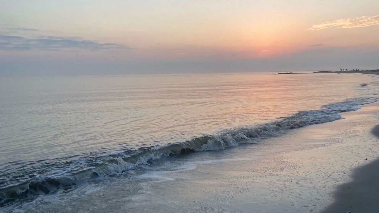 Photo of Others in Palmetto Dunes