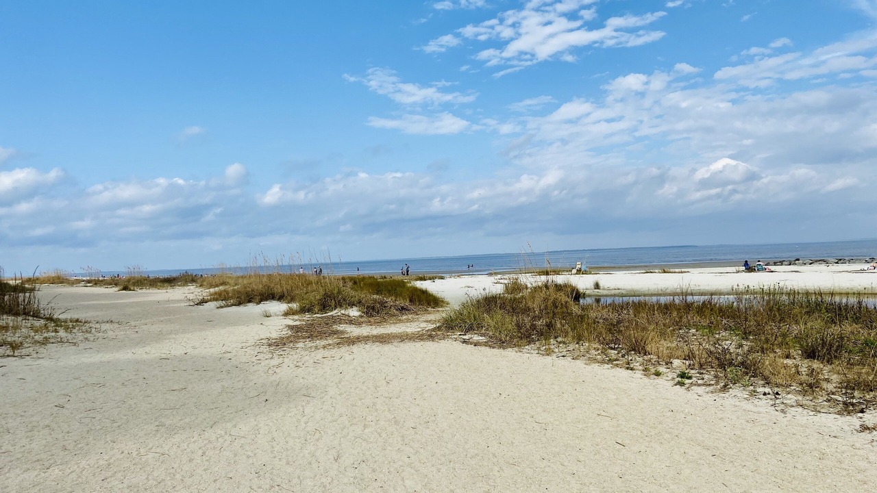 Photo of Others in Palmetto Dunes