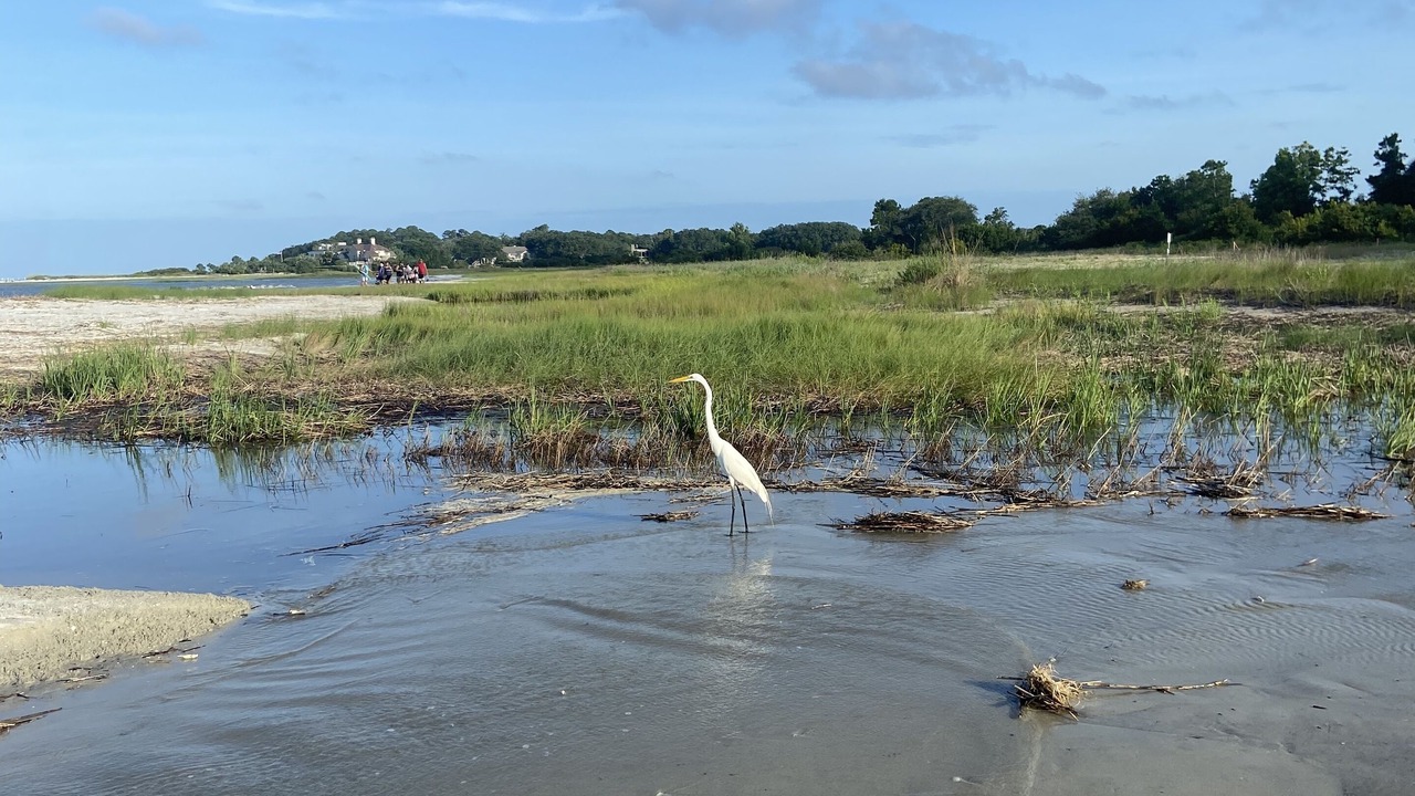 Photo of Others in Palmetto Dunes