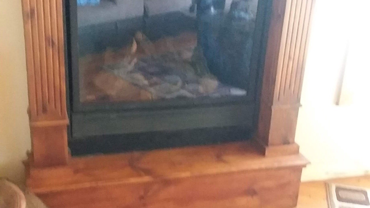 Photo of Livingroom in Chappells
