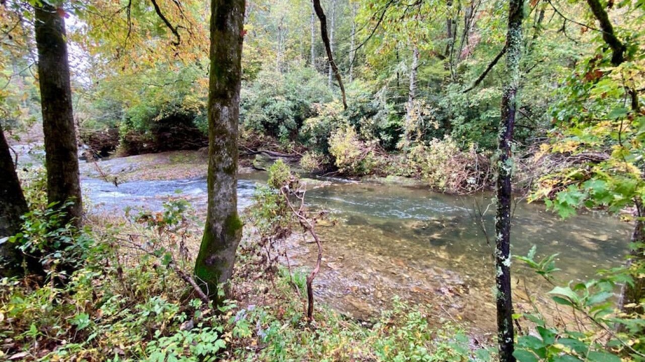 Photo of Others in Transylvania County