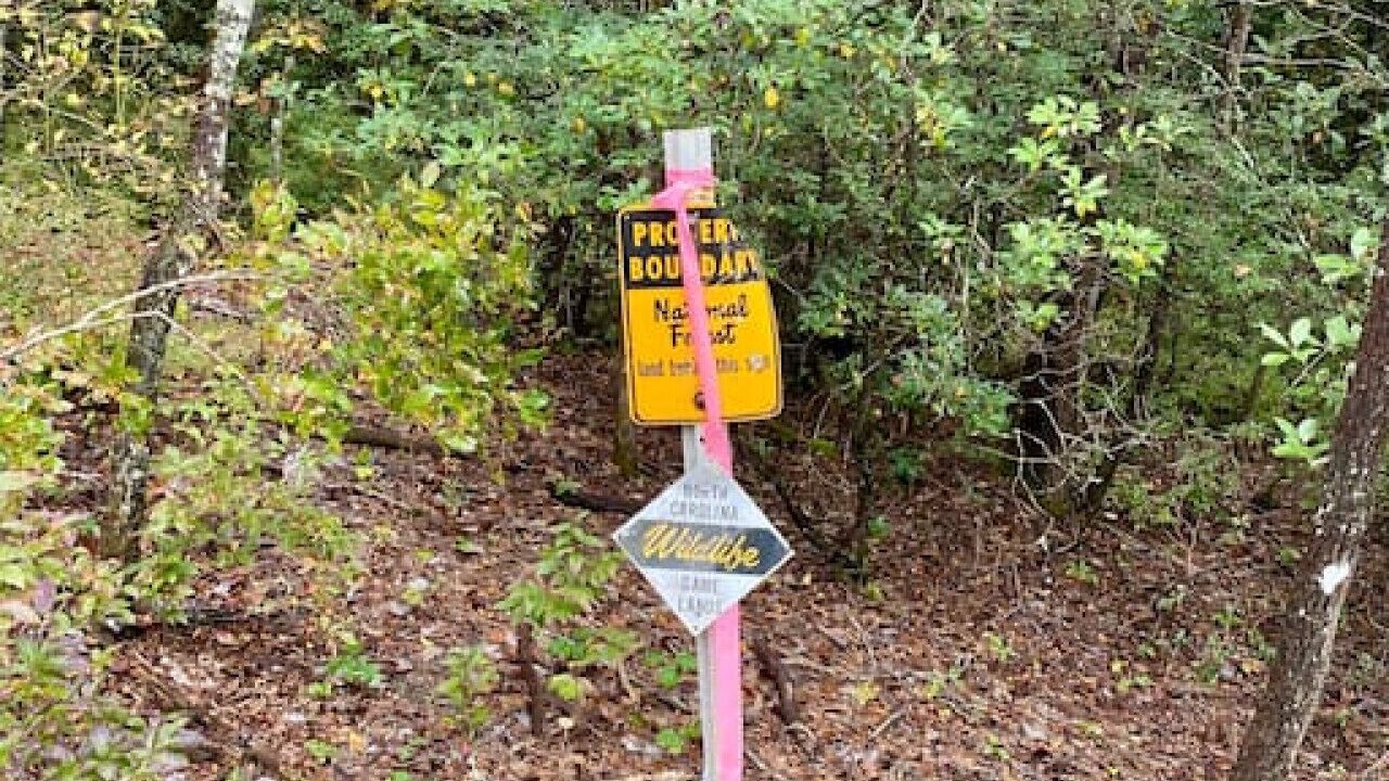 Photo of Others in Transylvania County