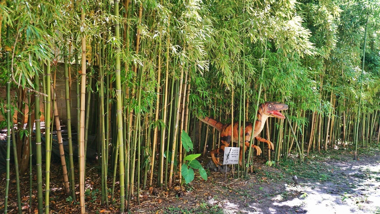 Photo of Outdoor in Dixon Park