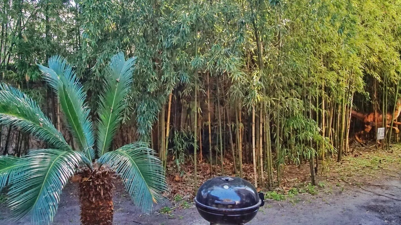 Photo of Outdoor in Dixon Park