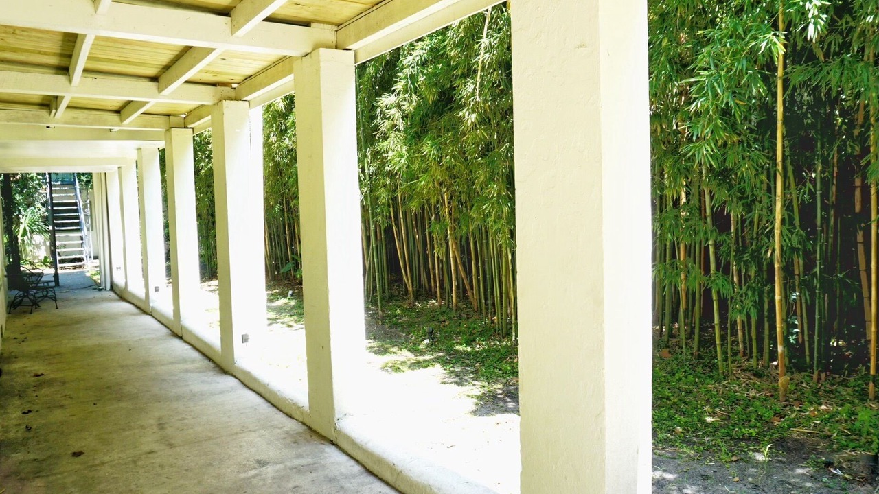 Photo of Outdoor in Dixon Park