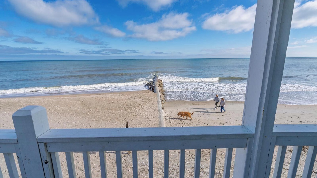 Photo of Others in Edisto Island