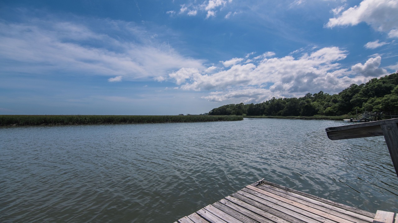 Photo of Others in Edisto Island