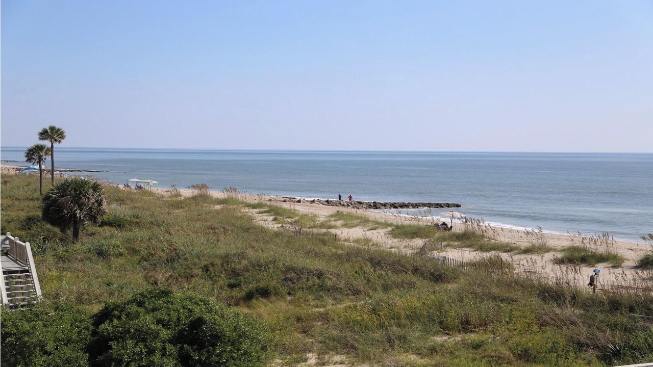 Photo of Outdoor in Edisto Island