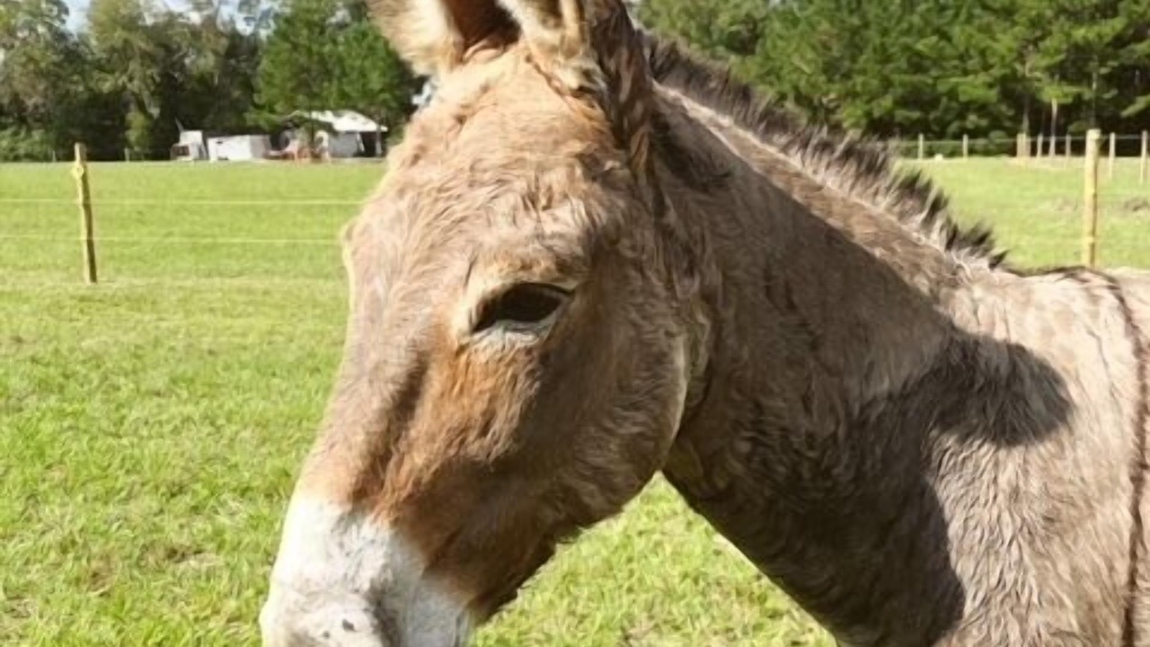Photo of Others in Conway