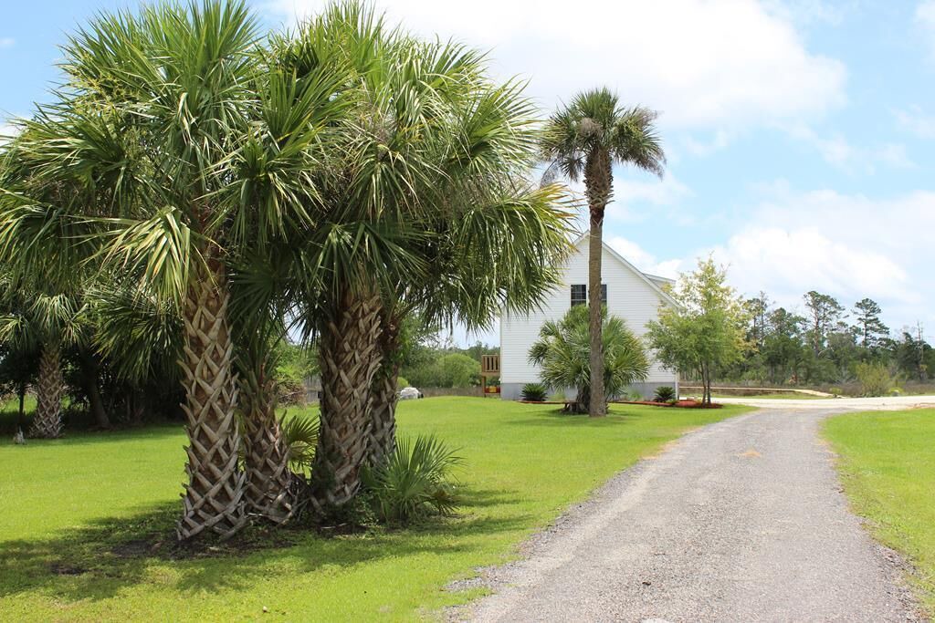 Photo of Others in Edisto Island