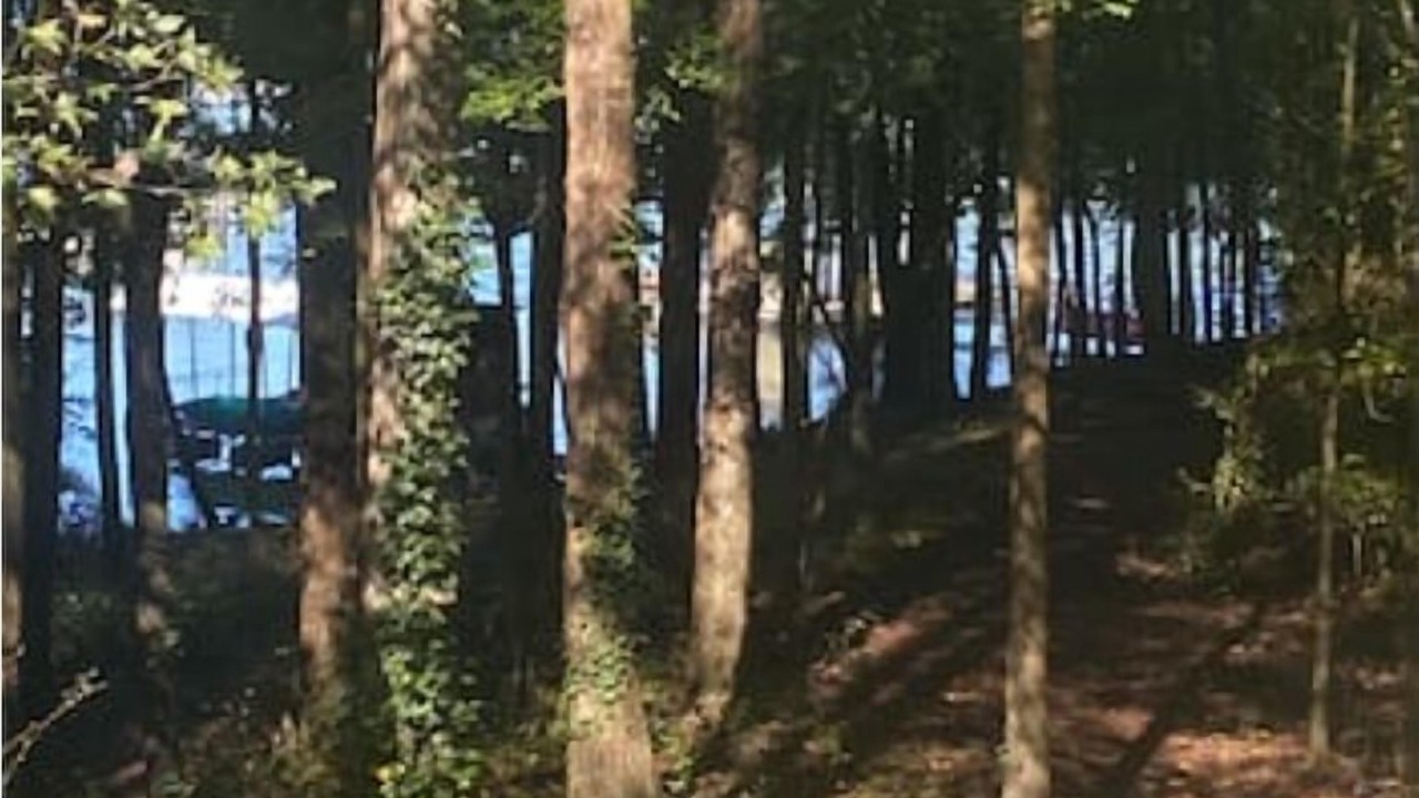 Photo of Outdoor in Anderson