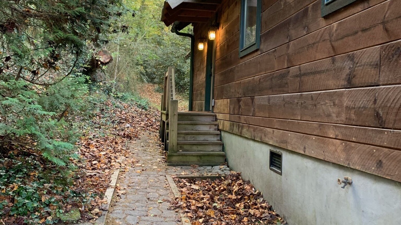 Photo of Outdoor in Pisgah Forest