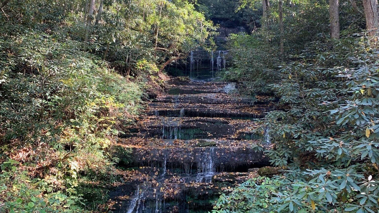 Photo of Outdoor in Pisgah Forest