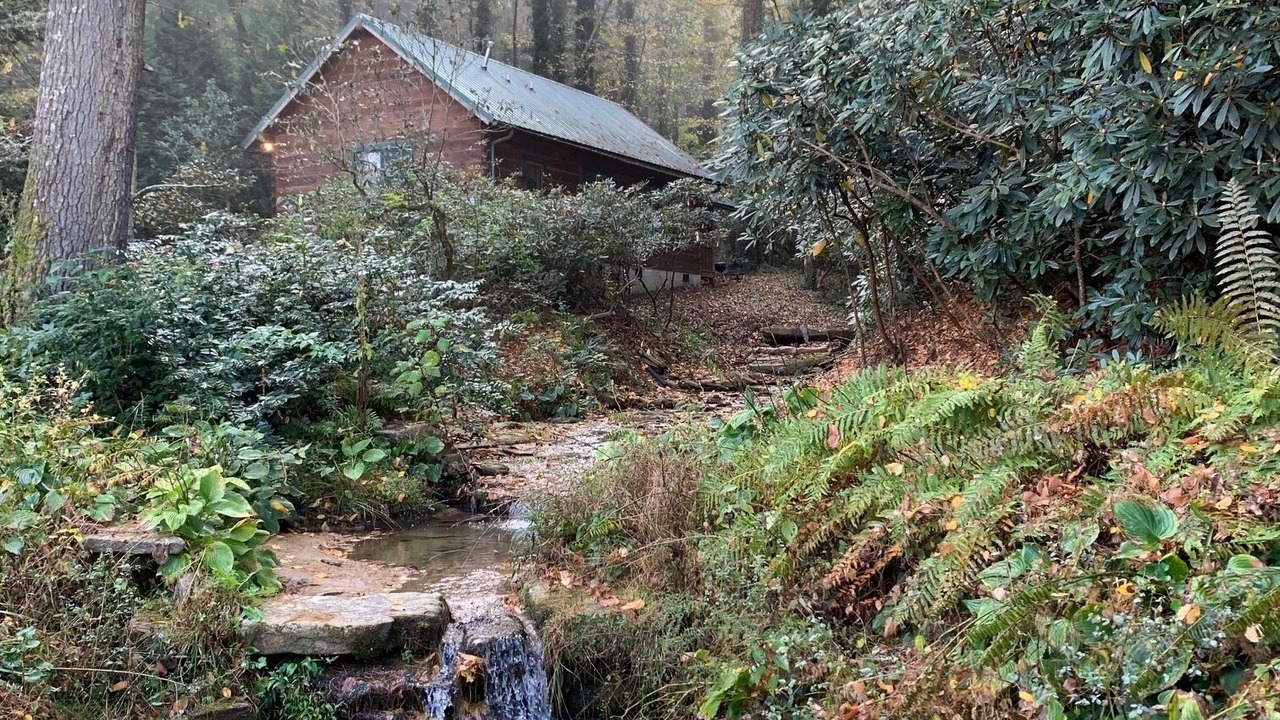 Photo of Outdoor in Pisgah Forest