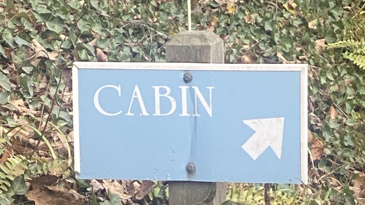 Photo of Outdoor in Pisgah Forest