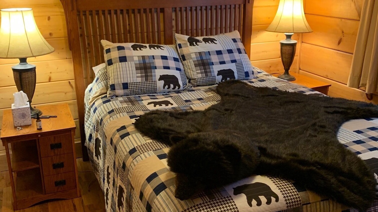 Photo of Bedroom in Pisgah Forest