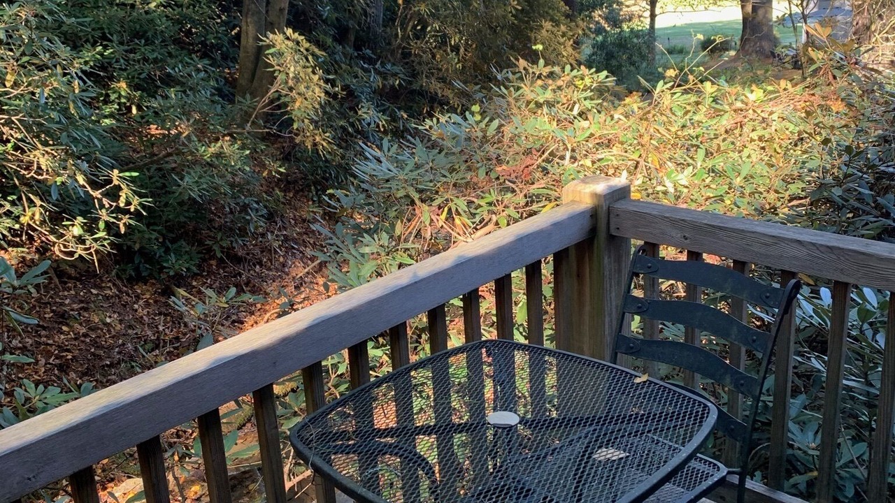 Photo of Outdoor in Pisgah Forest