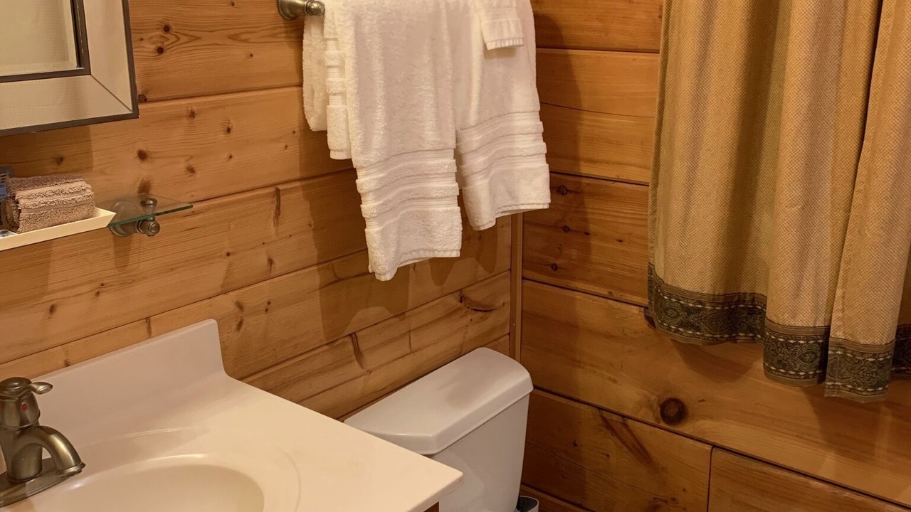 Photo of Bathroom in Pisgah Forest