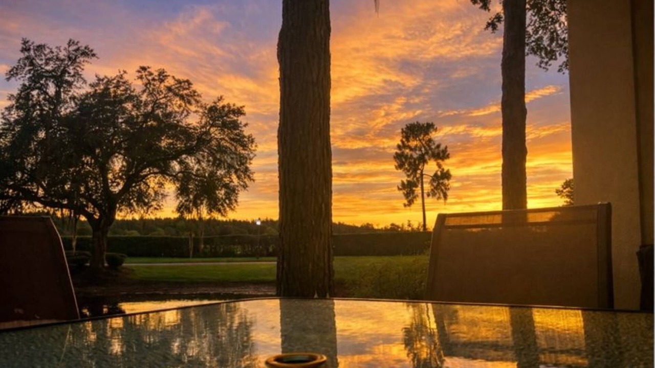 Photo of Outdoor in Wesley Chapel