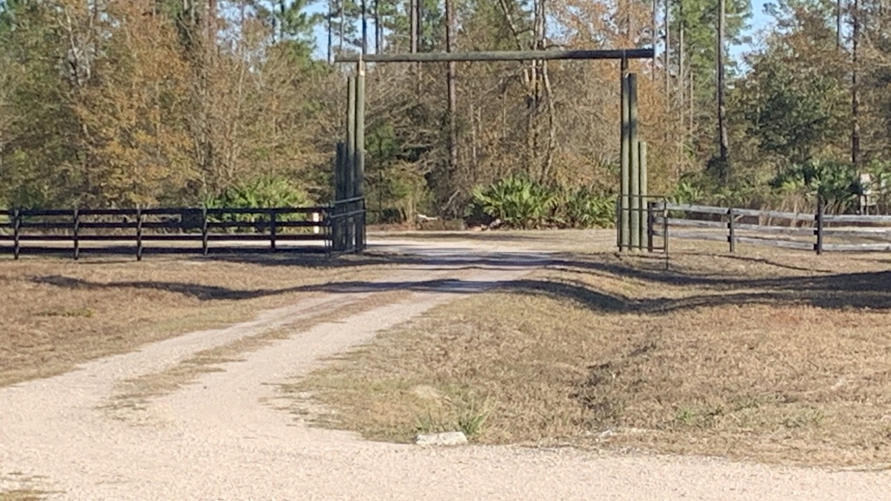 Photo of Others in Folkston