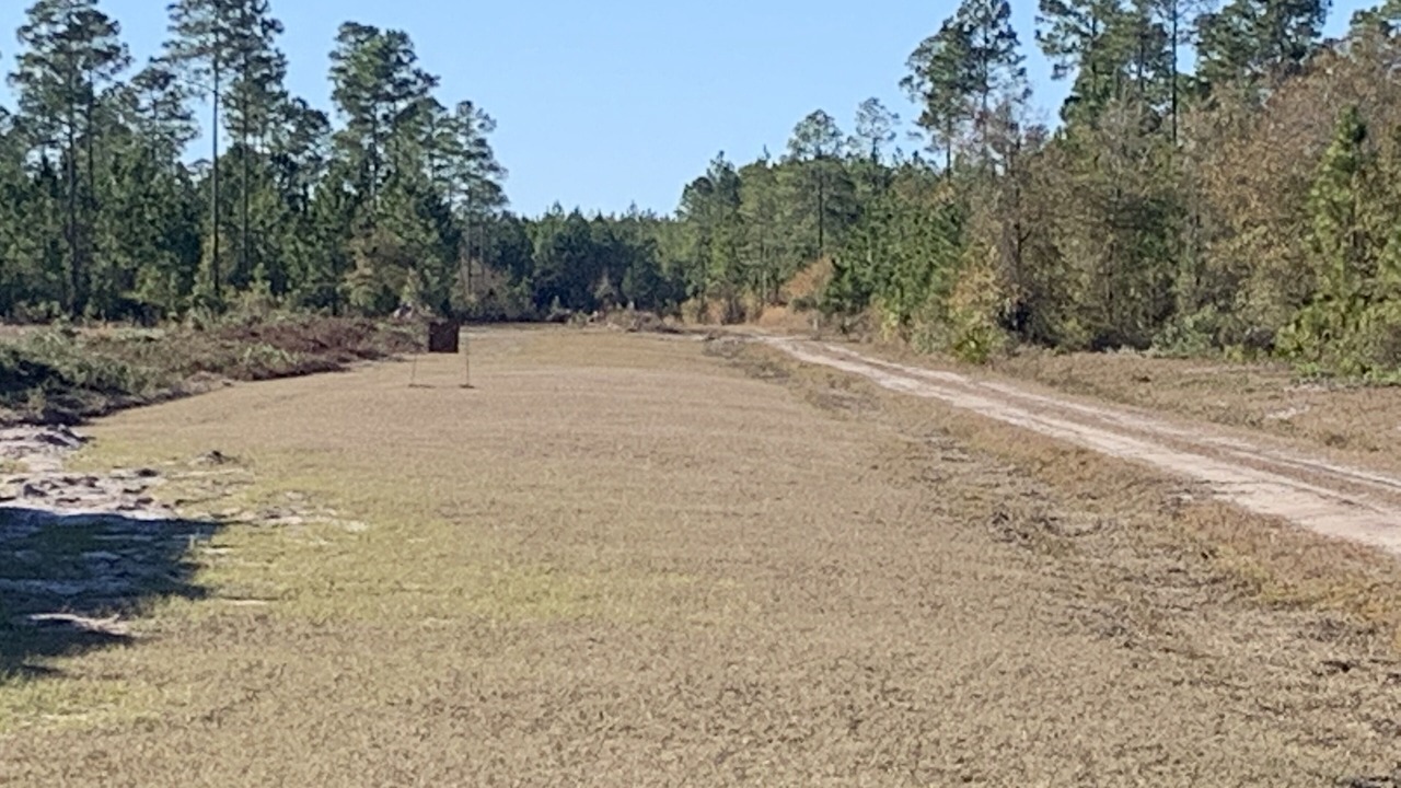 Photo of Others in Folkston