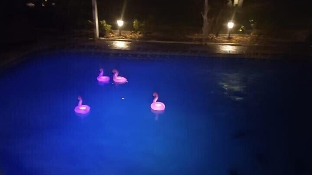 Photo of Outdoor in Port Charlotte