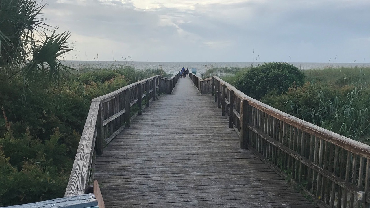 Photo of Others in Folly Field