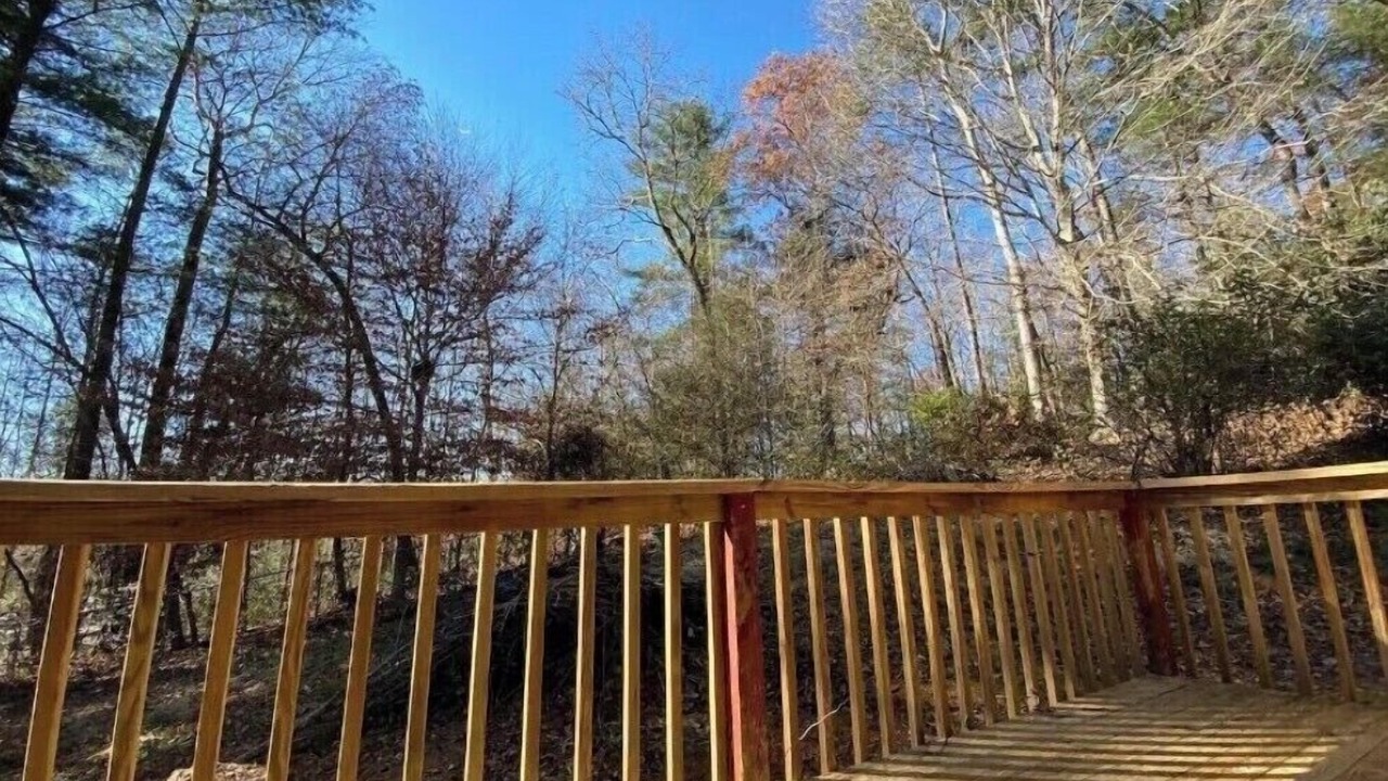 Photo of Outdoor in Pisgah Forest