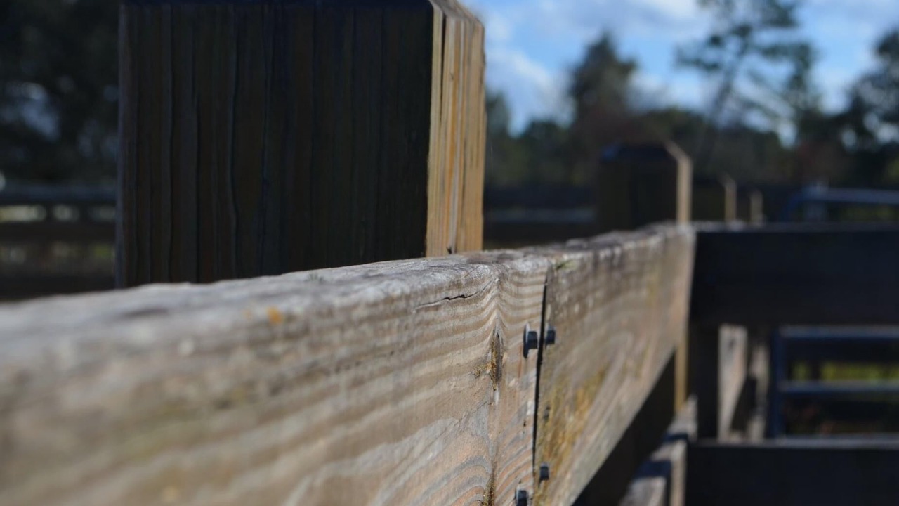 Photo of Outdoor in Lake Placid