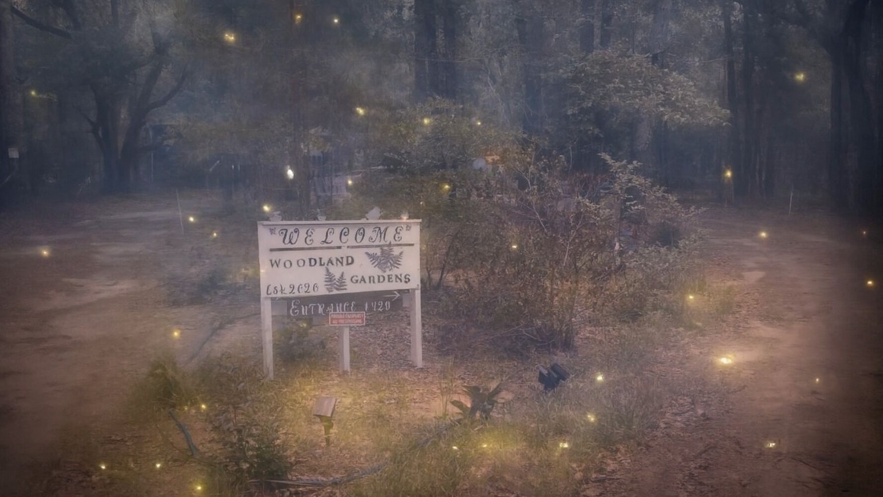 Photo of Others in Hopkins