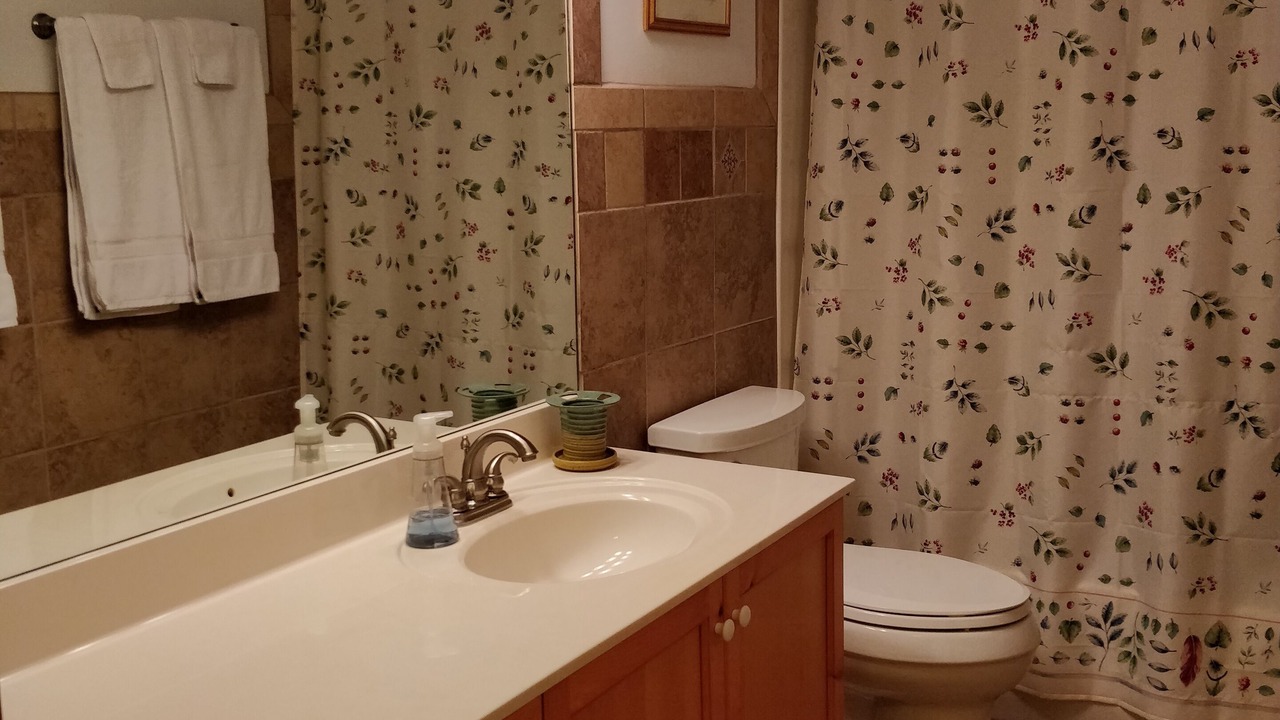 Photo of Bathroom in Brevard