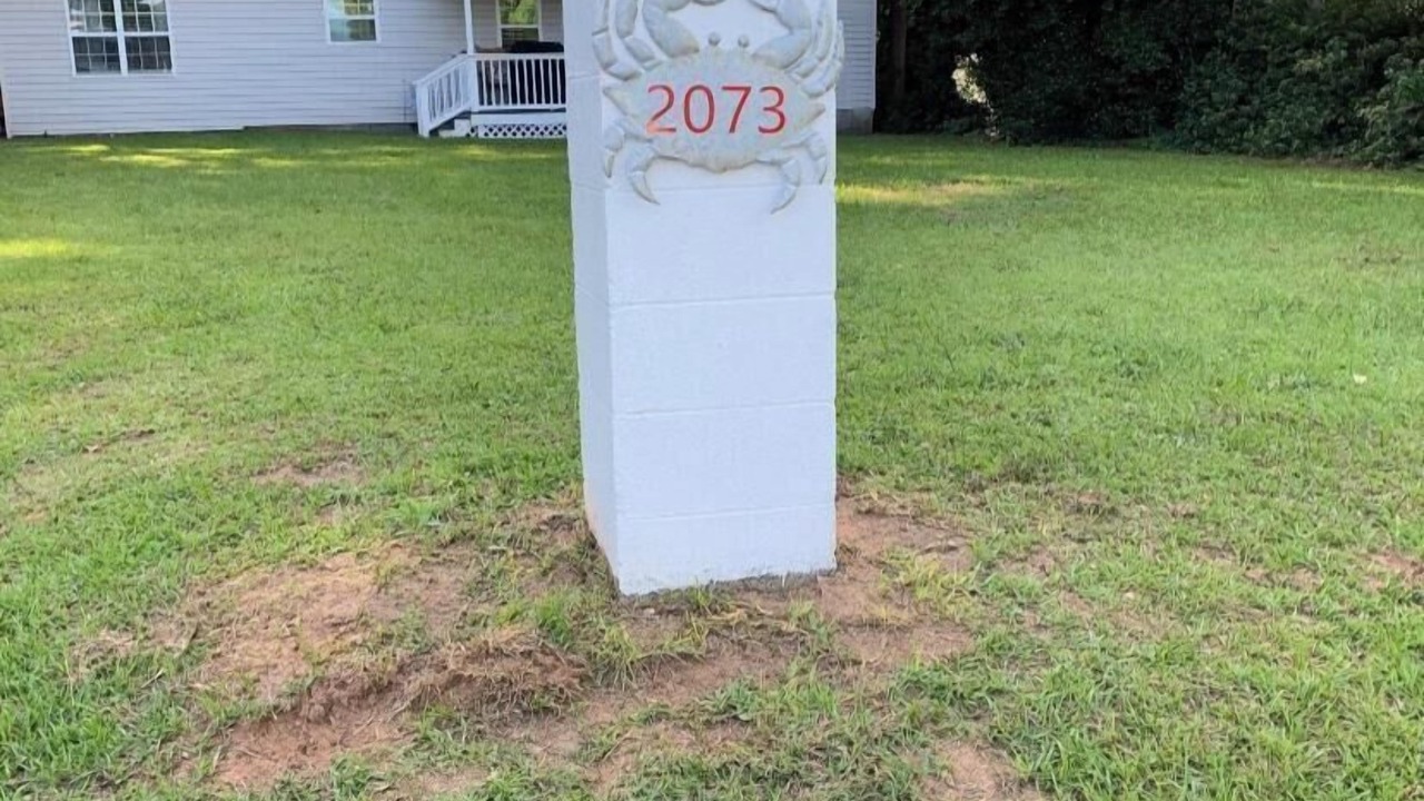 Photo of Outdoor in Manning