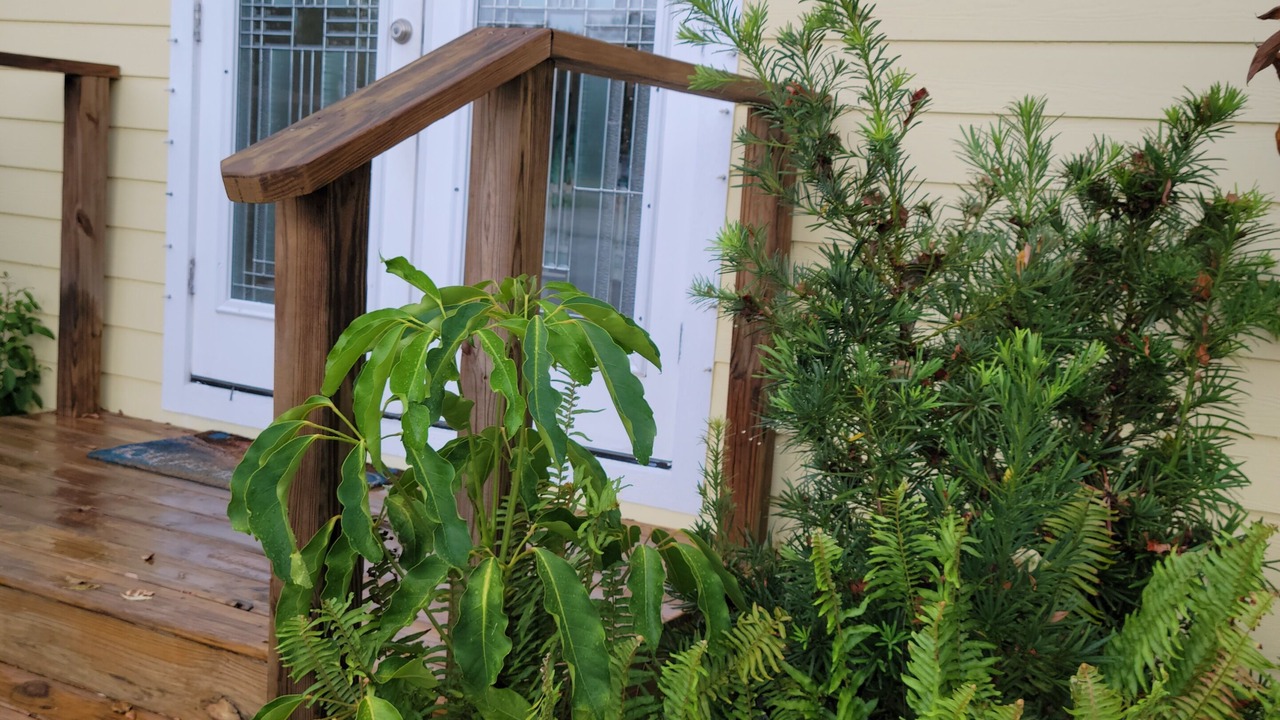 Photo of Outdoor in Micco