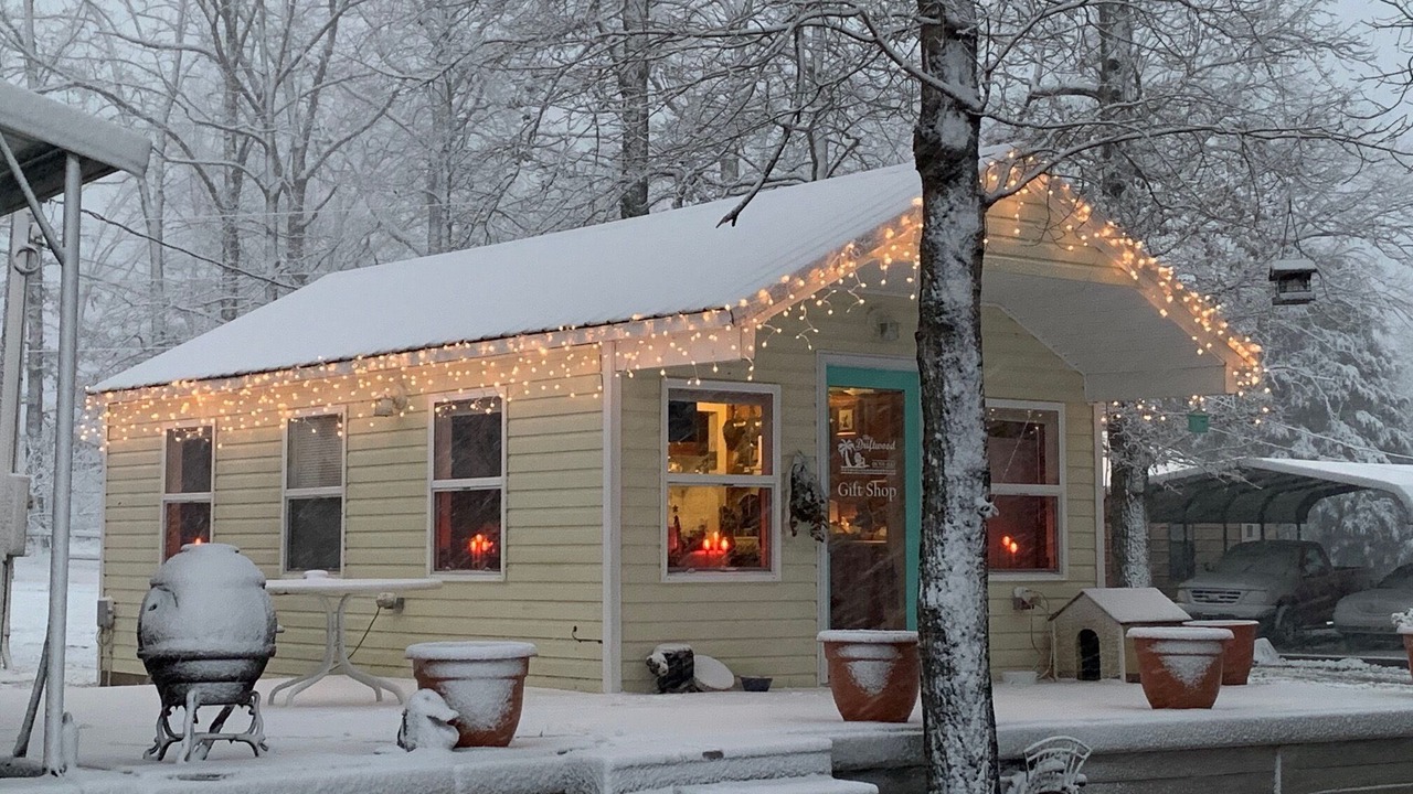 Photo of Outdoor in Vonore