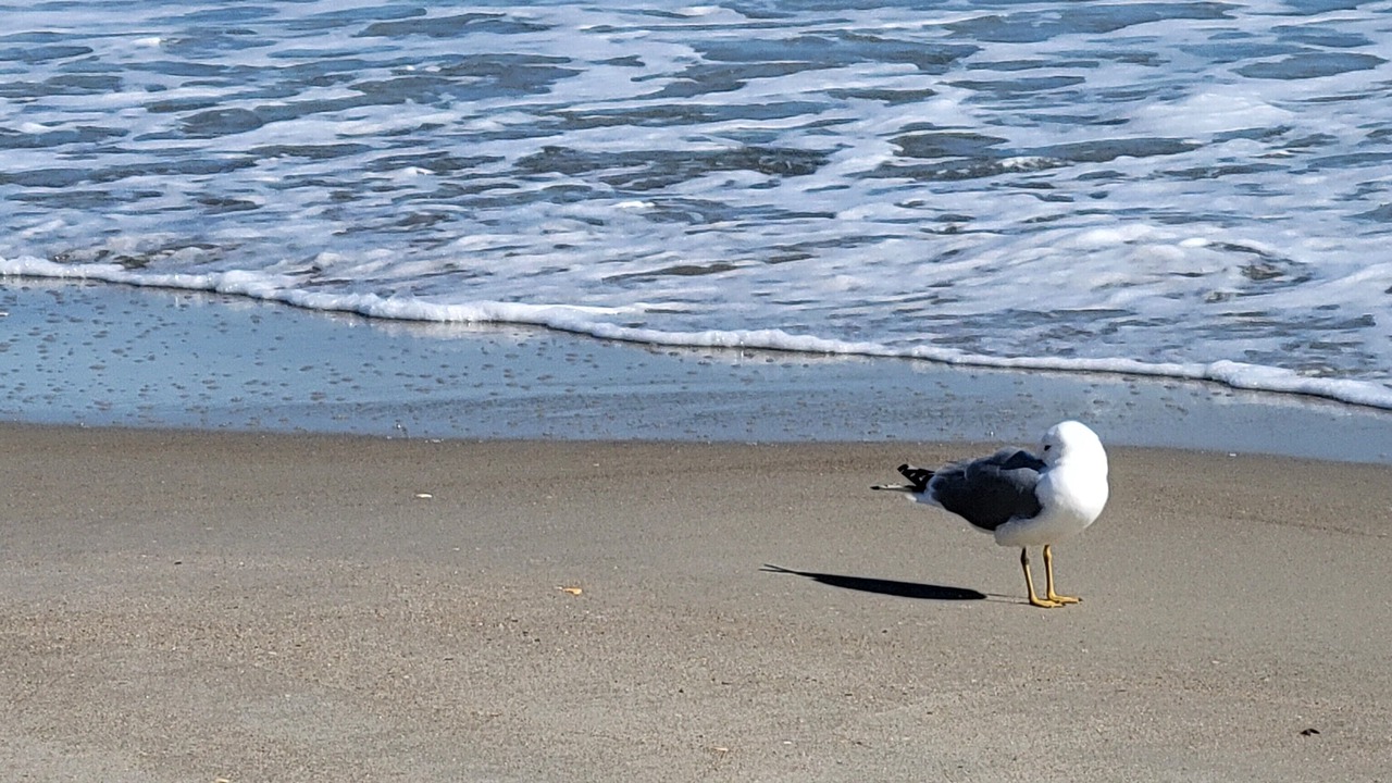 Photo of Others in Emerald Isle