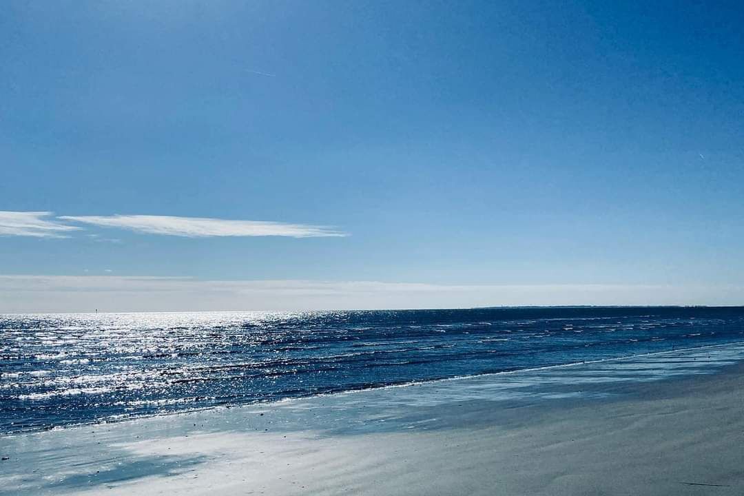 Photo of Others in Melrose on the Beach