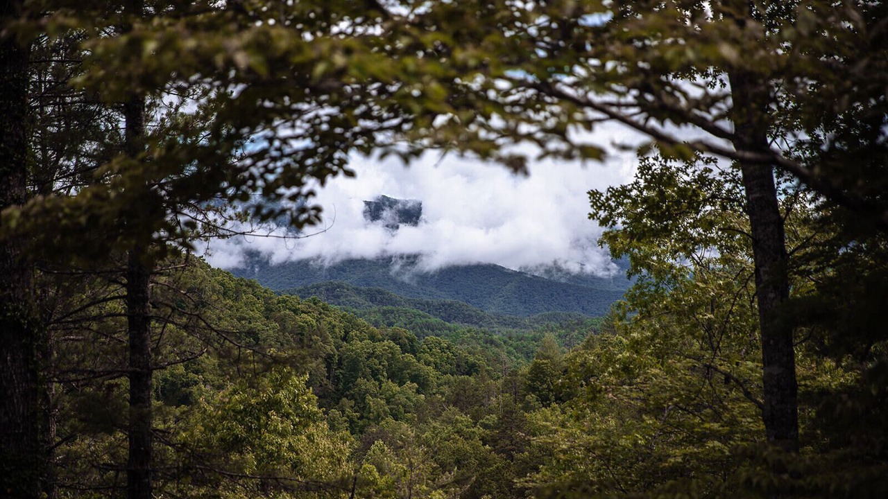 Photo of Outdoor in Almond