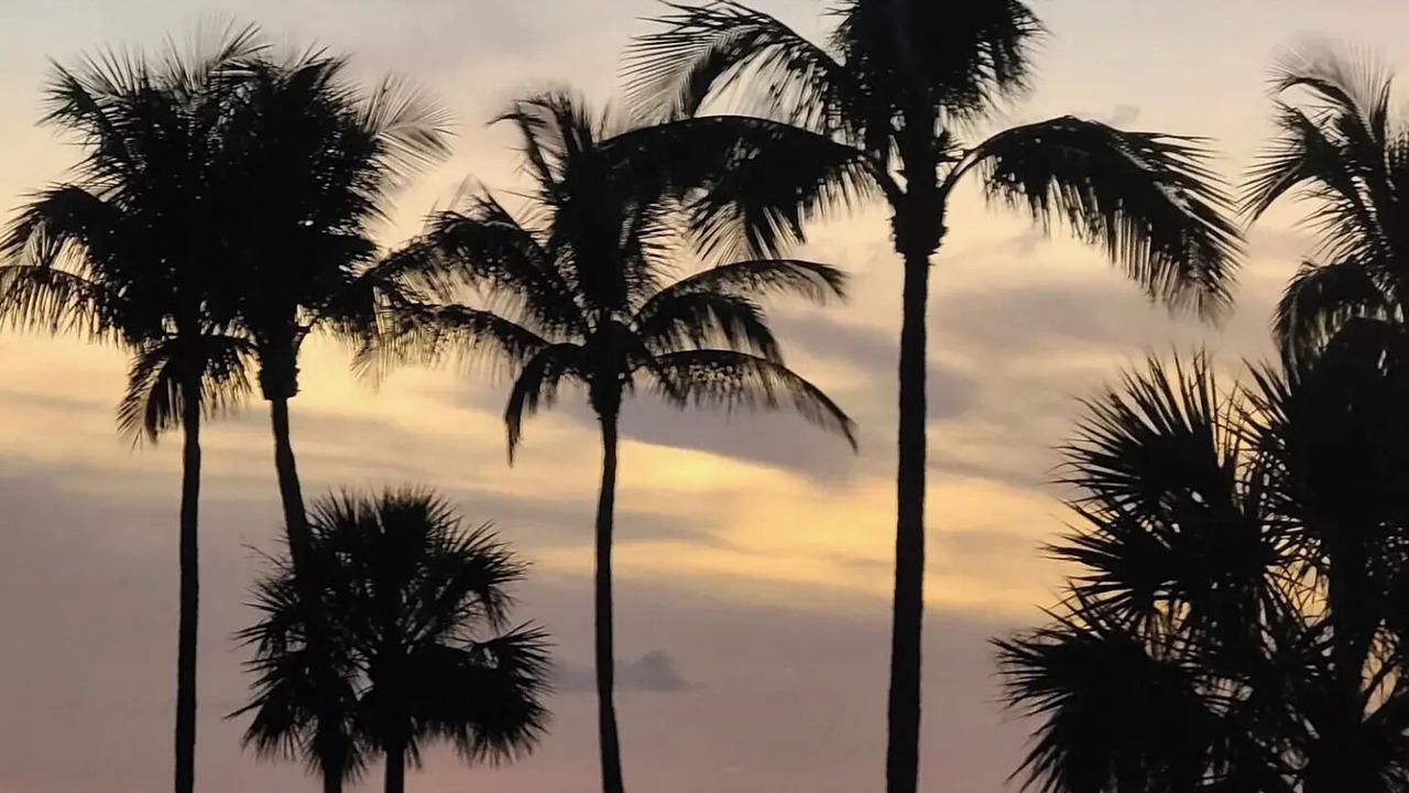 Photo of Others in Marco Island