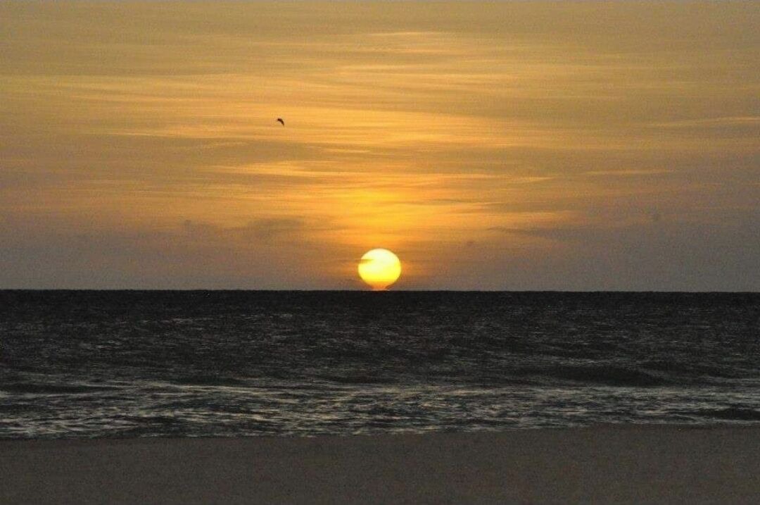 Photo of Others in Marco Island