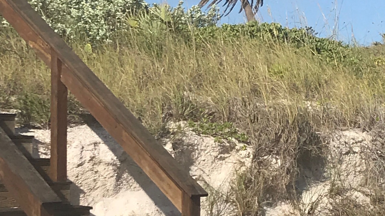 Photo of Outdoor in Vero Beach
