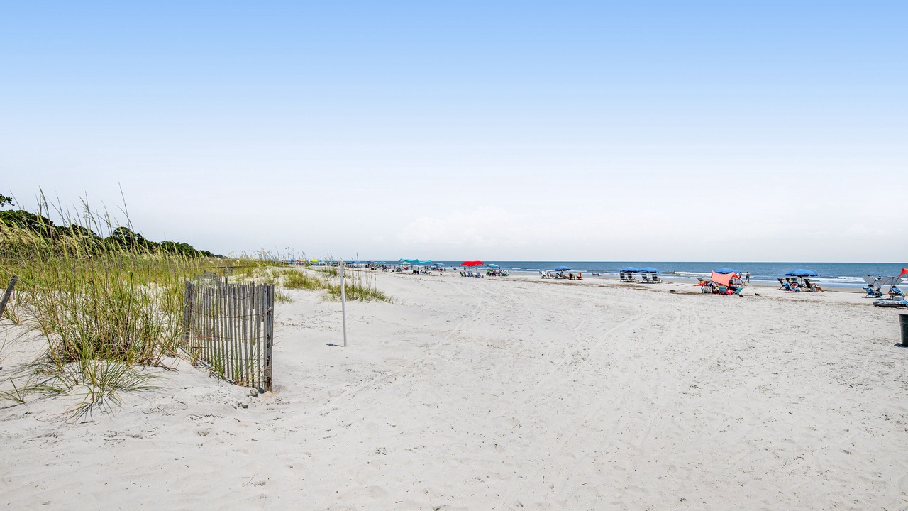 Photo of Others in Sea Pines