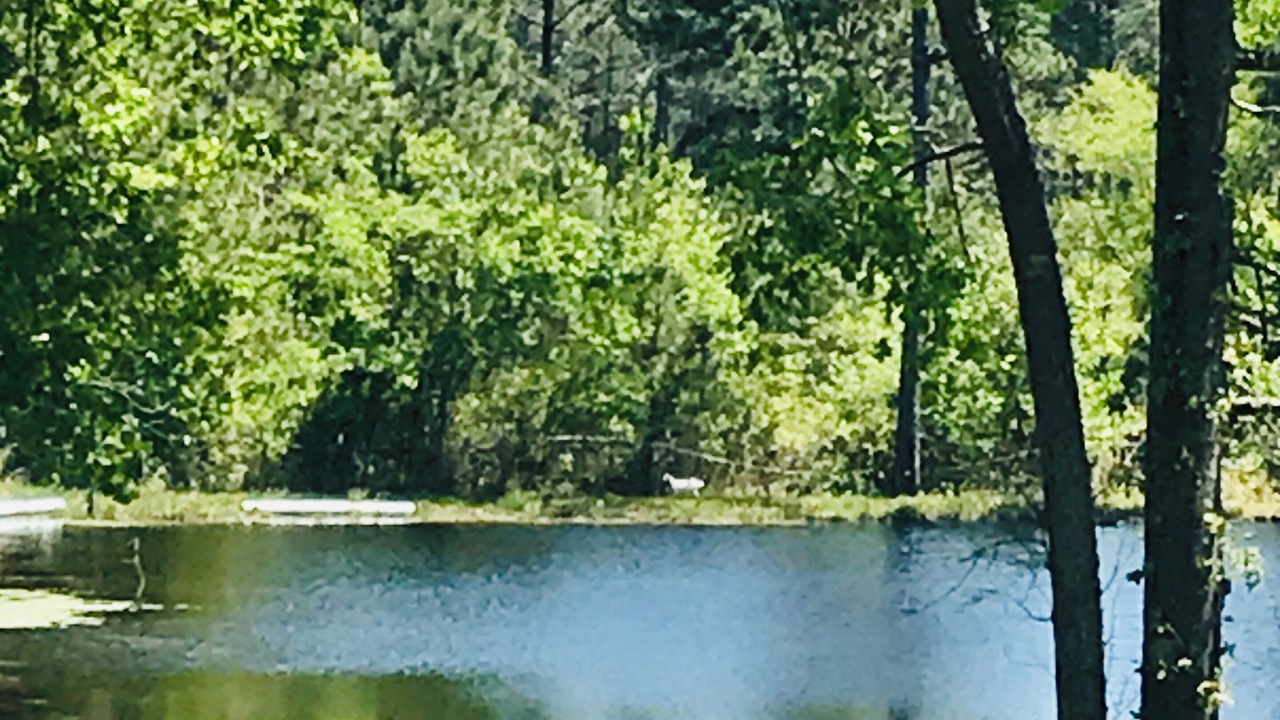 Photo of Others in Cordova