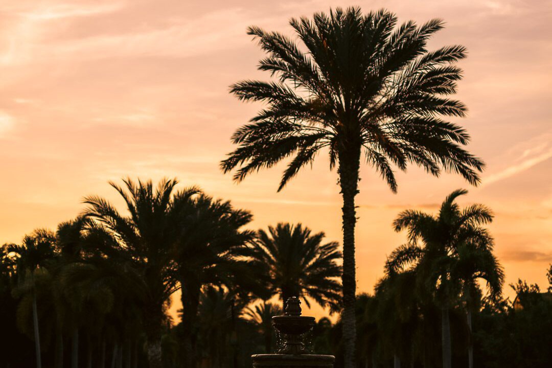 Photo of Outdoor in Ole