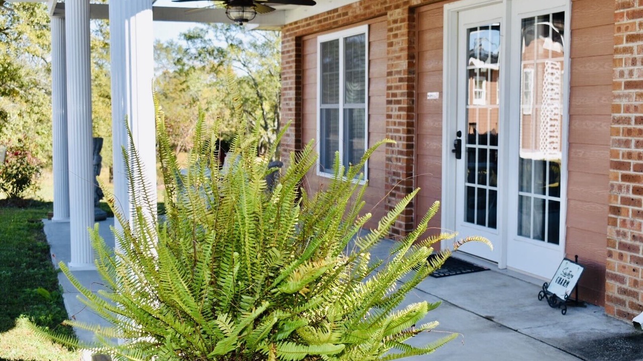 Photo of Outdoor in Cordova