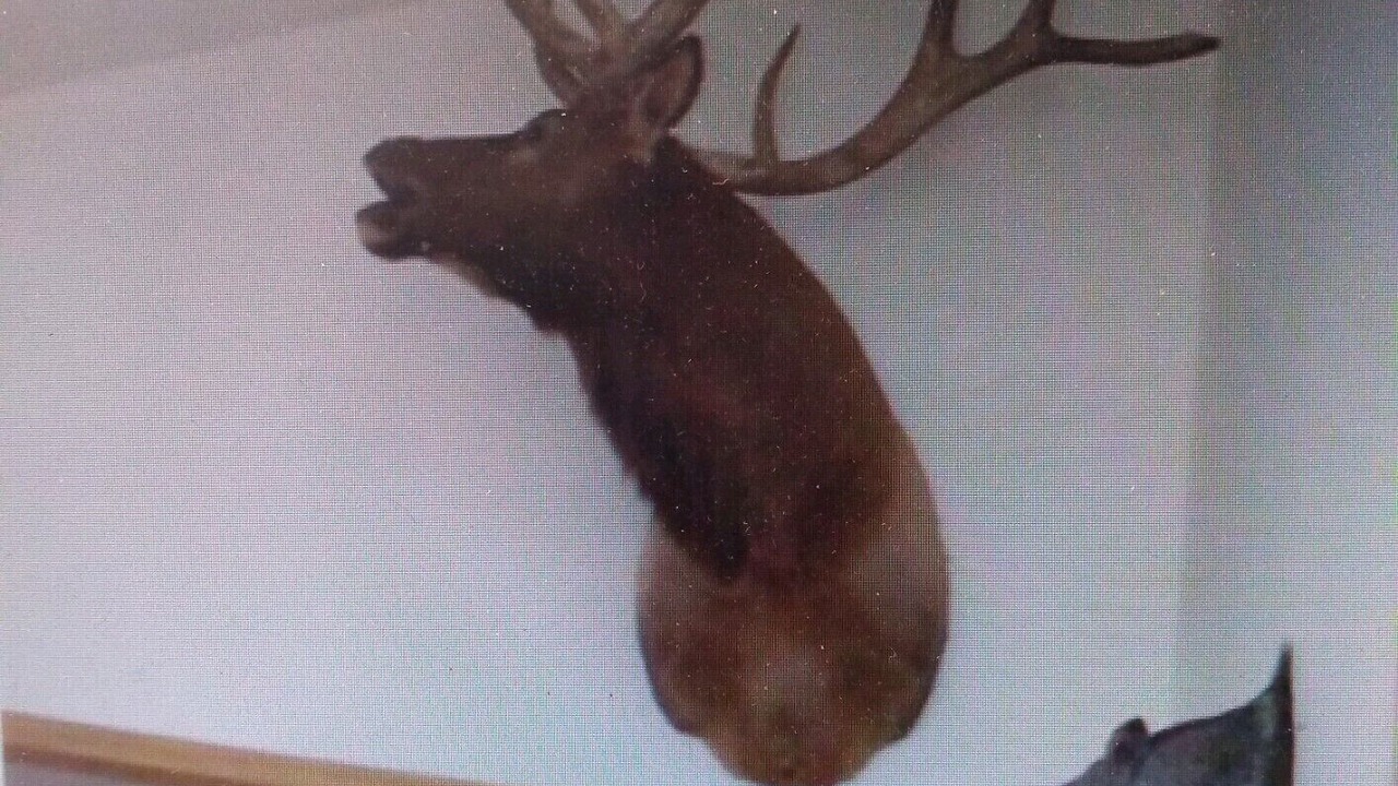 Photo of Others in McCormick
