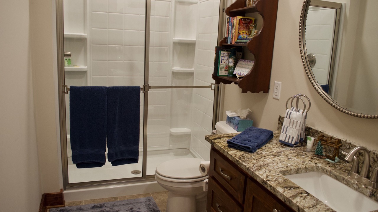 Photo of Bathroom in Chapin
